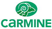 La marque CARMINE
